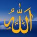 Allahdan qeyrisinə and içmək