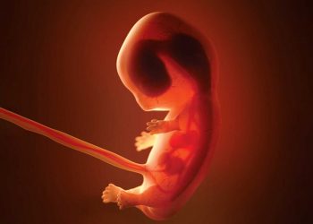 Aborta İslamın baxışı