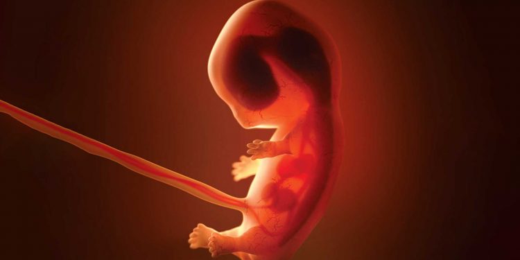 Aborta İslamın baxışı